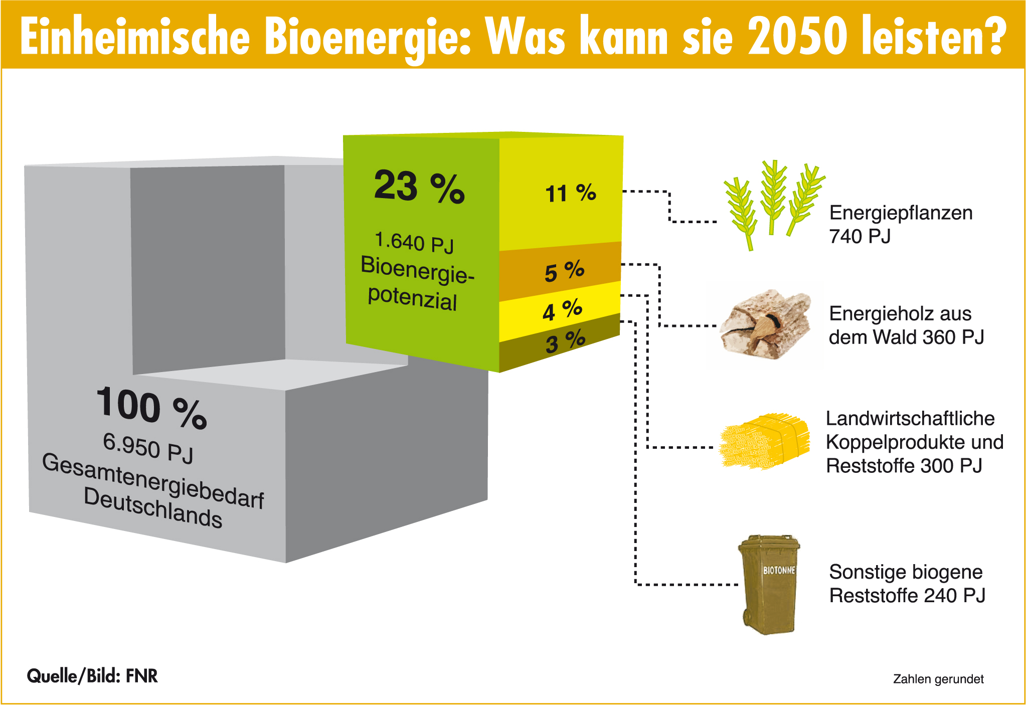 Bioenergie Potenzial Würfel