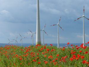 Windpark in Sachsen-Anhalt © Windpark Druiberg