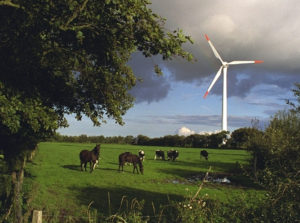 Pferde vor Windenergieanlage © BWE / Thorsten Paulsen