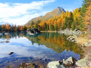 Letzte Farben vor dem Winter in der Schweiz, Foto: daniel stricker  / pixelio.de