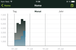 Auswertung des Stromverbrauchs in der Smappee App